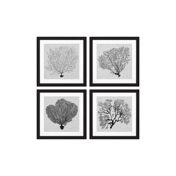 Eichholtz Prints Shadow Sea Fans σετ των 4